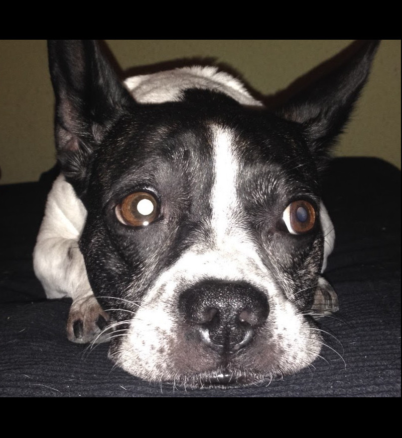 Envianos la foto que quieres personalizar